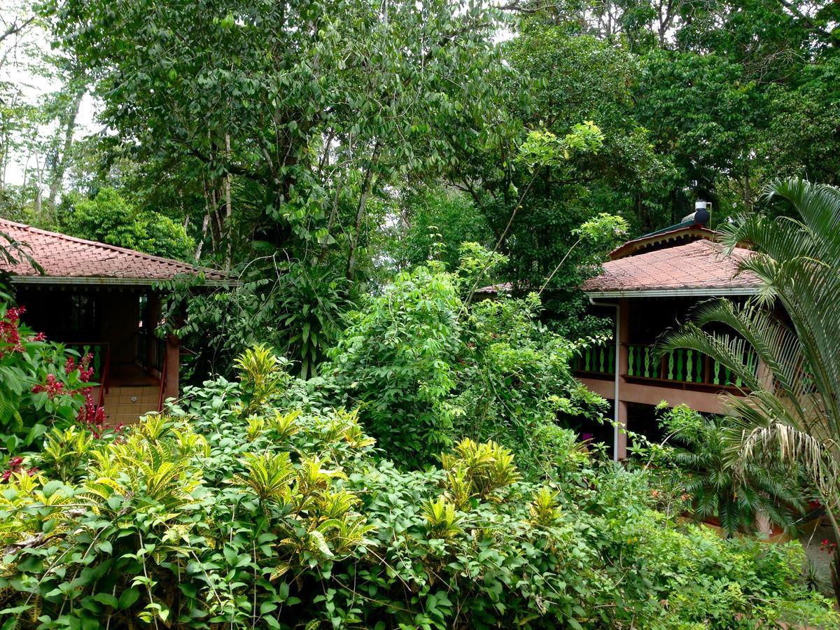 The Goddess Garden Eco-Resort Кахуита Екстериор снимка