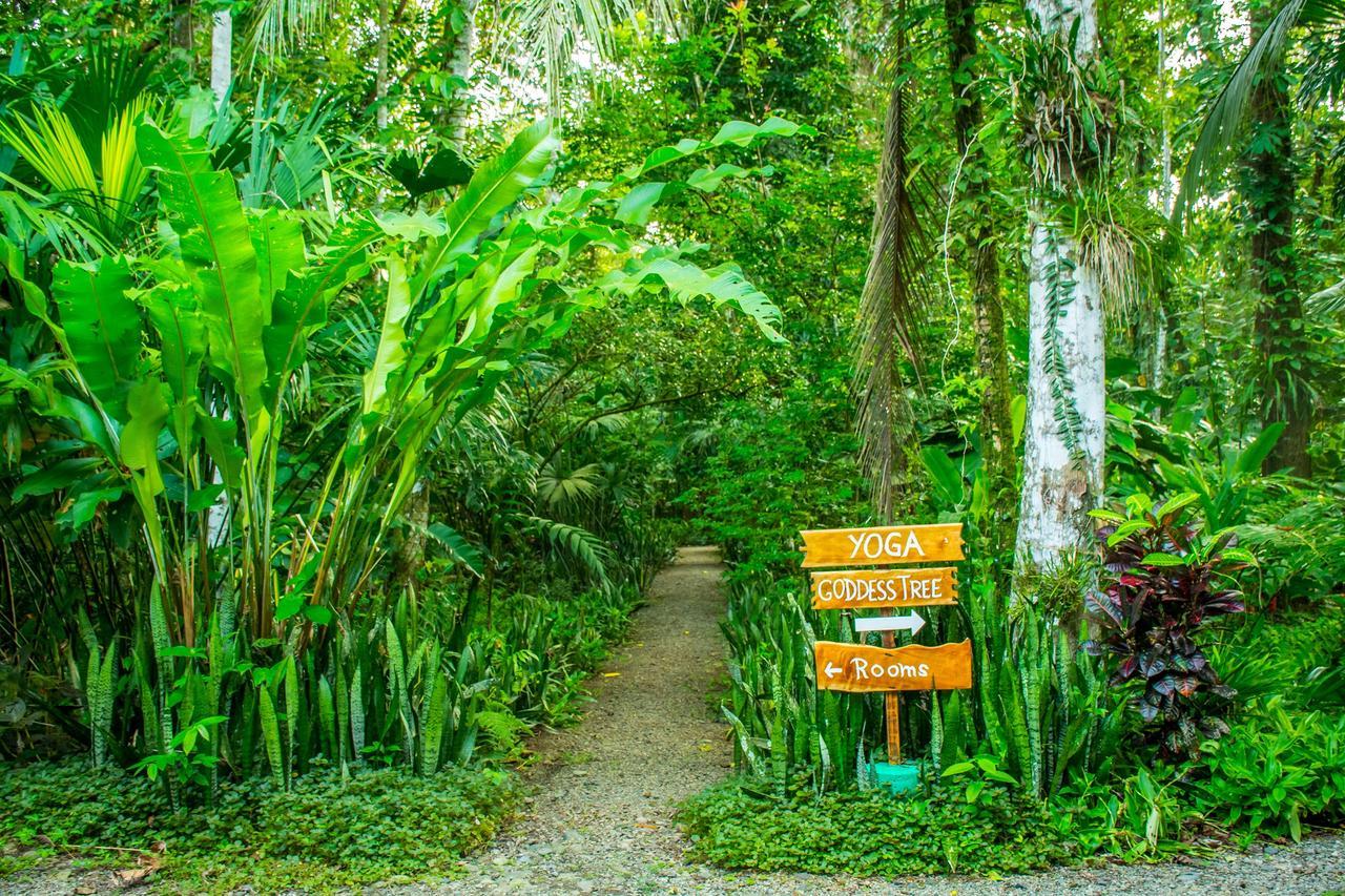 The Goddess Garden Eco-Resort Кахуита Екстериор снимка